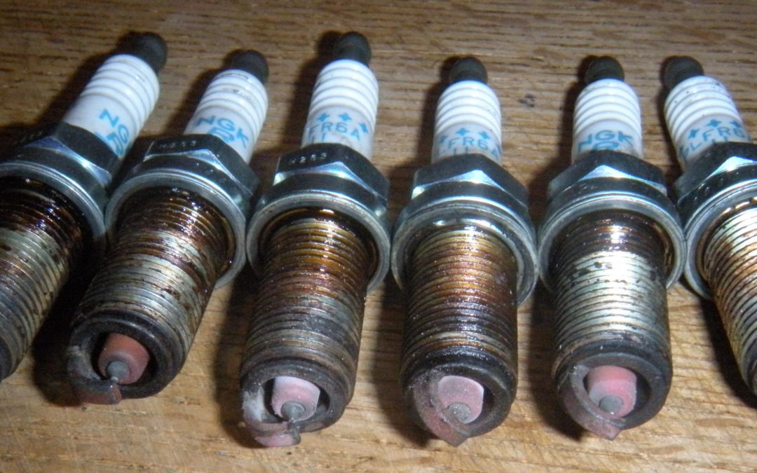 Gill's sparkplug